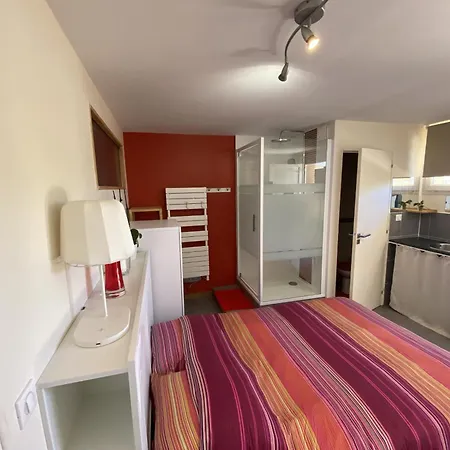 La Columerine - Familiale - Soleil - Piscine Ξενοδοχείο Colomiers